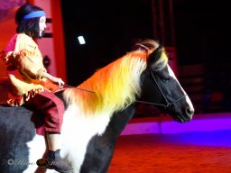 Circus YAKARI Show am 04.10.2024